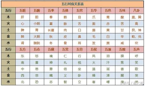 工作 五行|細選【八字五行職業】，屬性對應必事半功倍！【社會新鮮人必看】